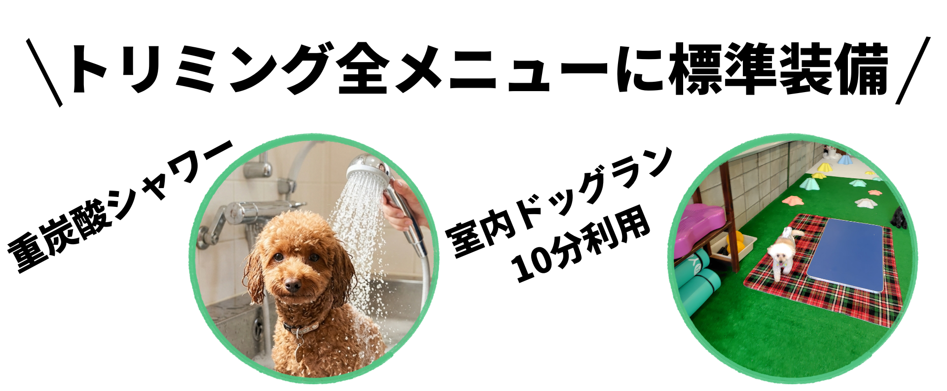 ドッグサロンユン