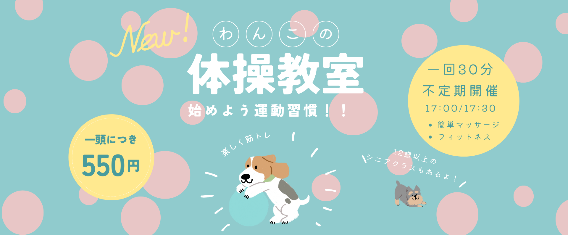 ドッグサロンユン