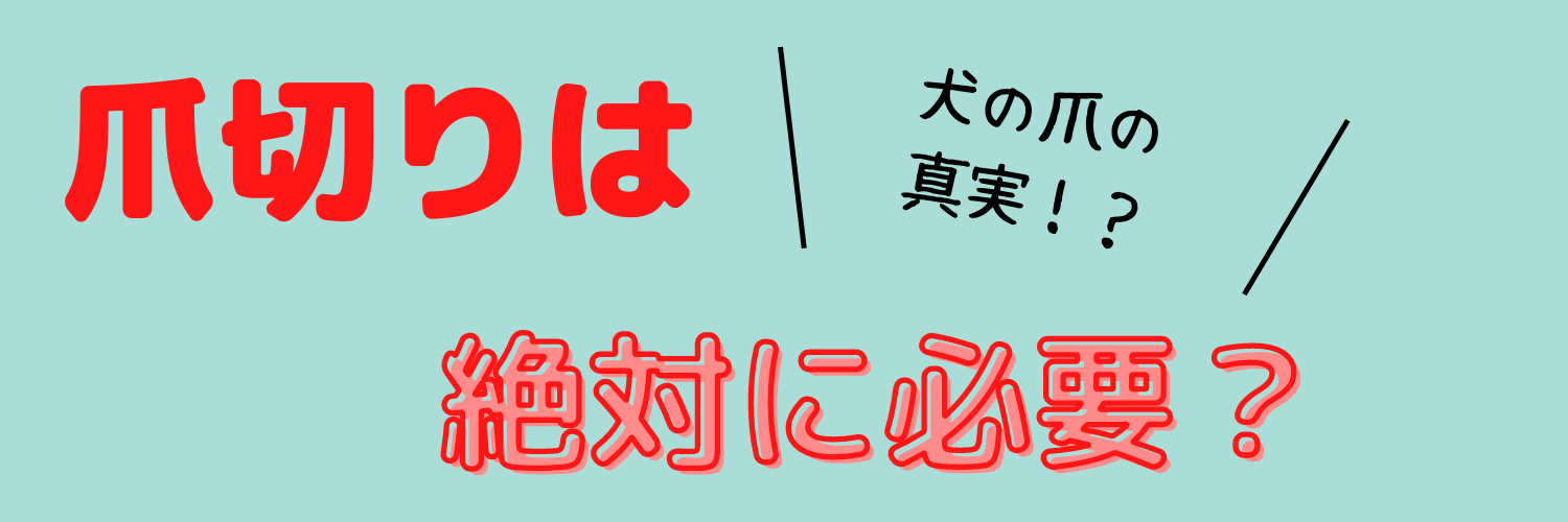 犬の爪切りって必要？？